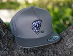 "The Galaxy" Logo Snapback (Gray)